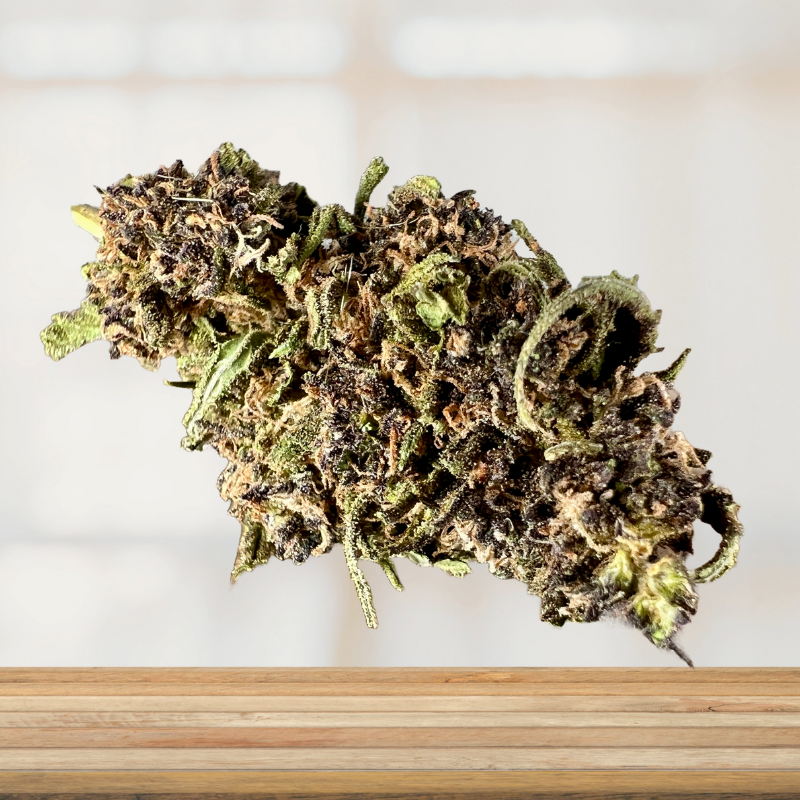 Design sans titre (3)