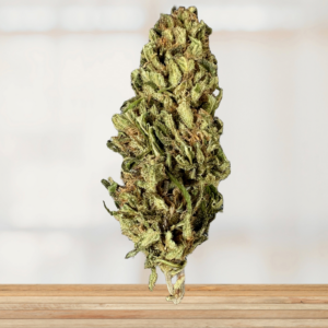 BLUEBERRY - FLEURS CBD