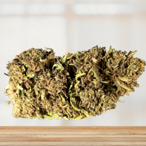 ORANGE BUD - FLEURS CBD