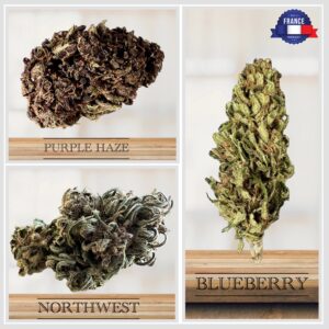 PACK DECOUVERTE FLEURS DE CBD