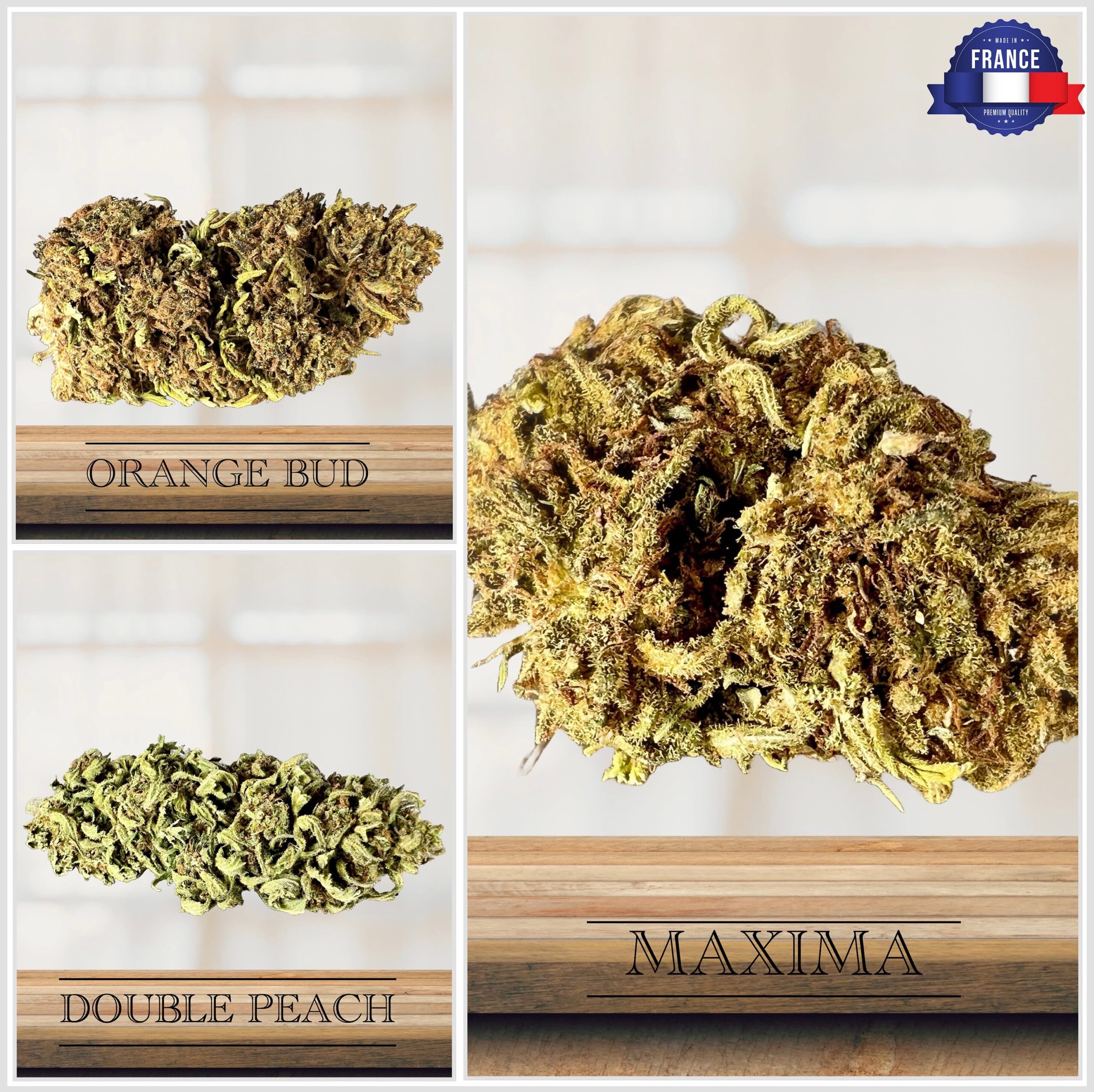 PACK DECOUVERTE FLEURS DE CBD PETIT BUDGET