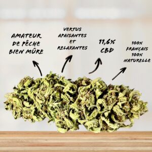 DOUBLE PEACH - FLEURS CBD