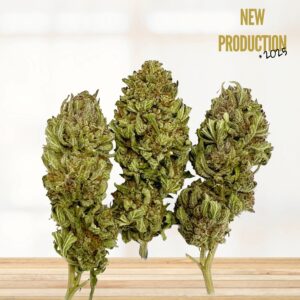 LEGENDARY OG - FLEURS CBD