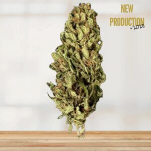 BLUEBERRY - FLEURS CBD