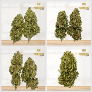 PACK DECOUVERTE FLEURS DE CBD PREMUIM